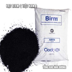 birm-viet